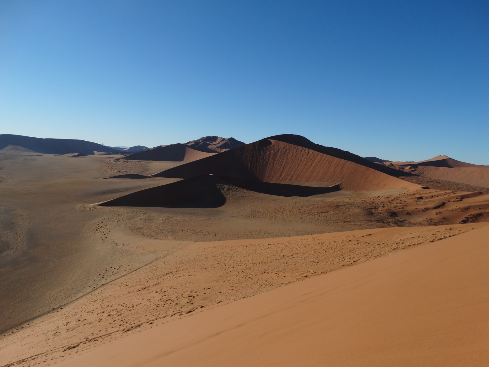 Namib dunes near Sossusvlei. Historic landscape photograph.