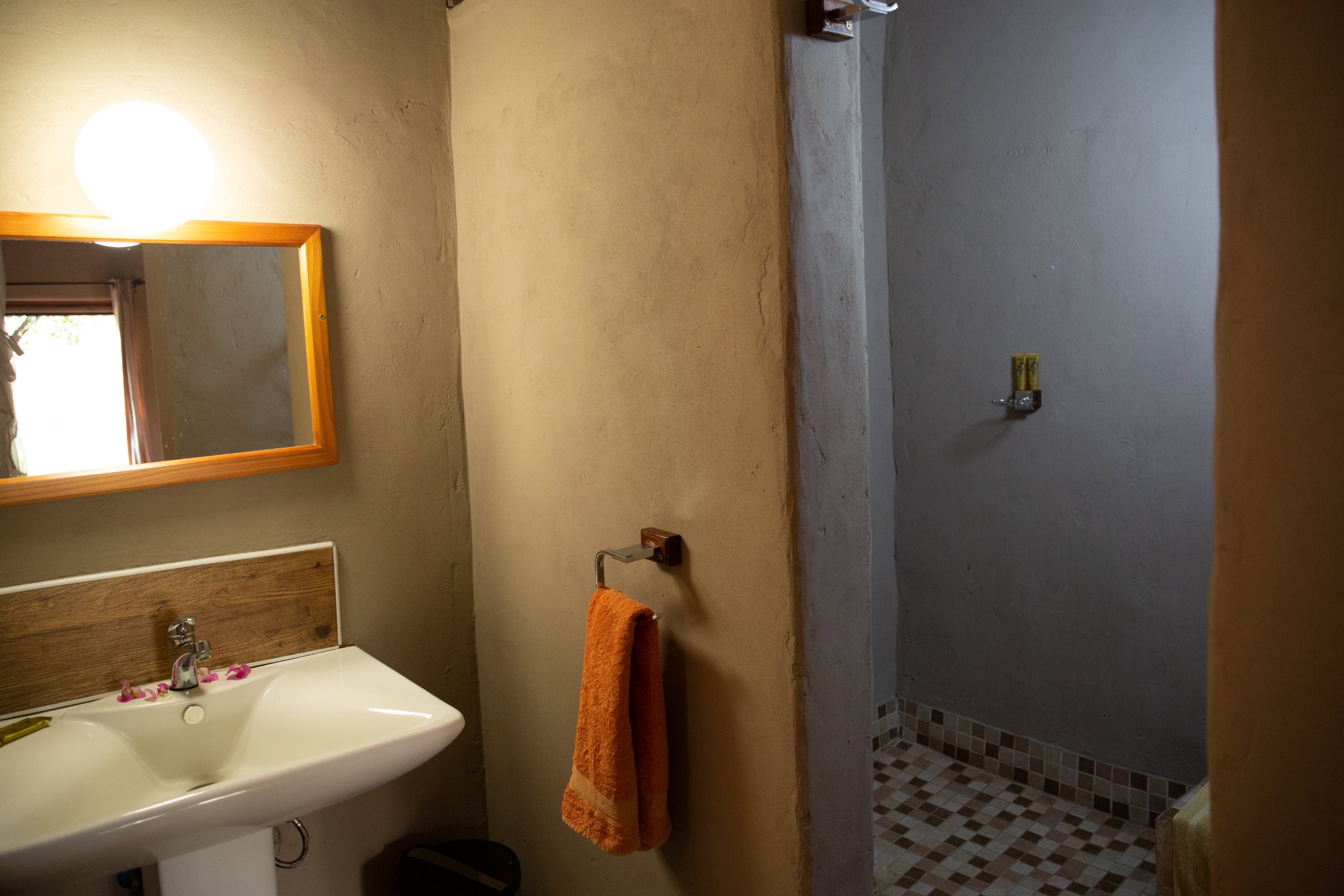 Chalet washbasin and shower area