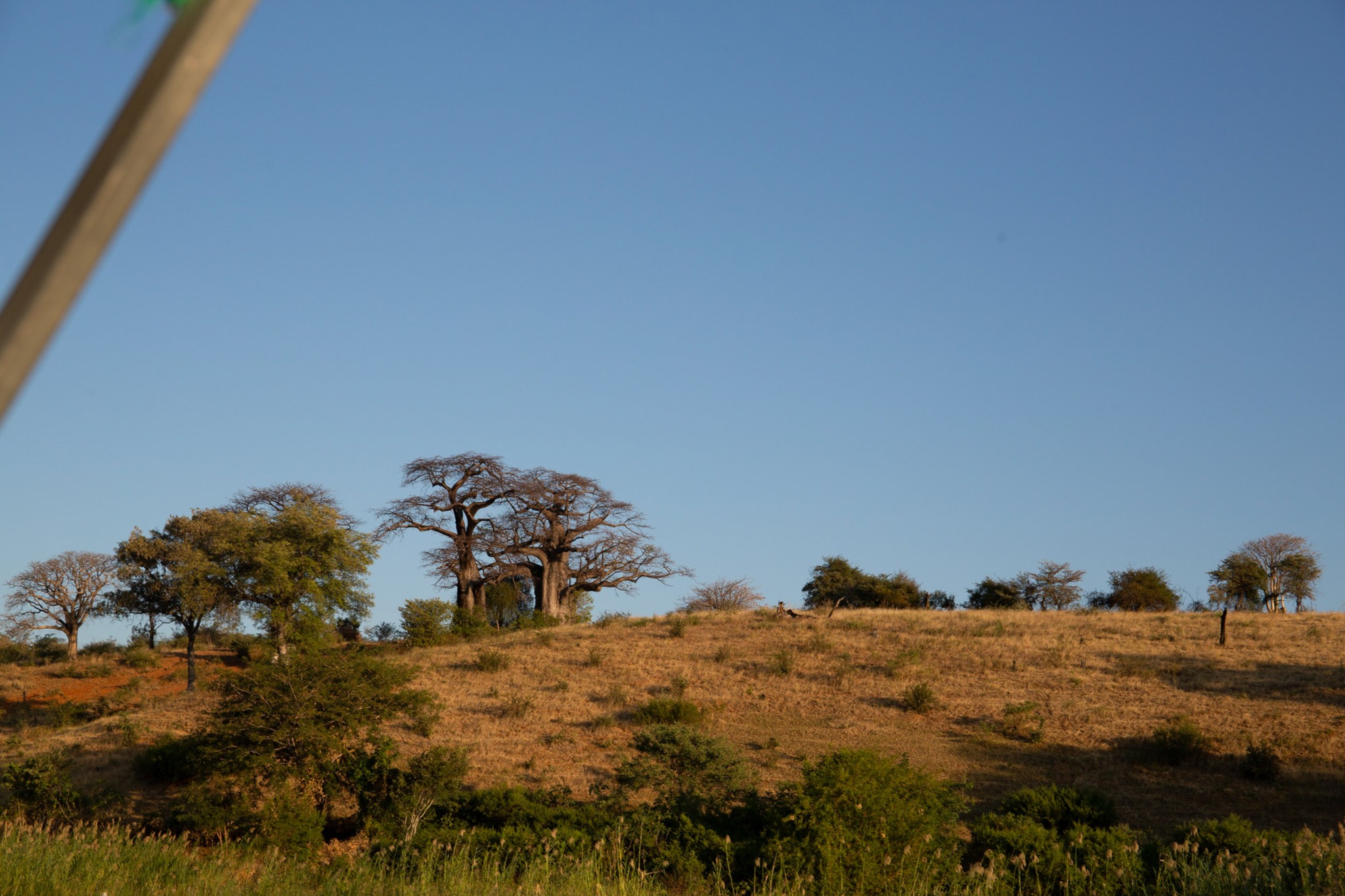 Open landscape near the lodge